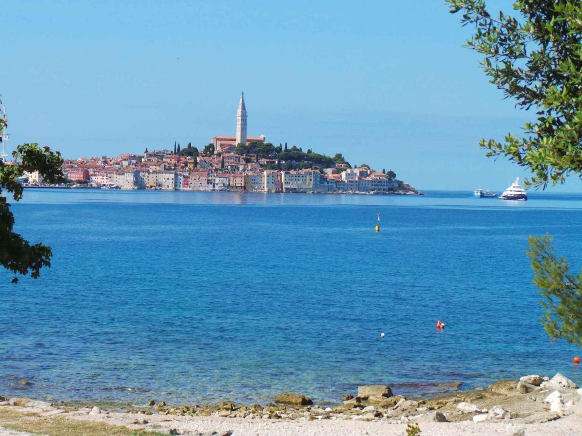 Apartment In Rovinj/Istrien 11735 Bagian luar foto