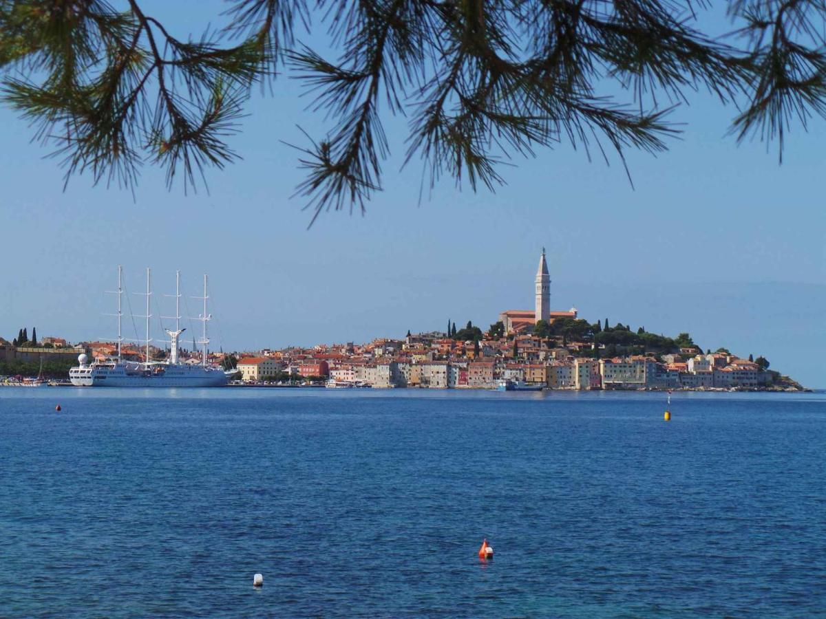 Apartment In Rovinj/Istrien 11735 Bagian luar foto